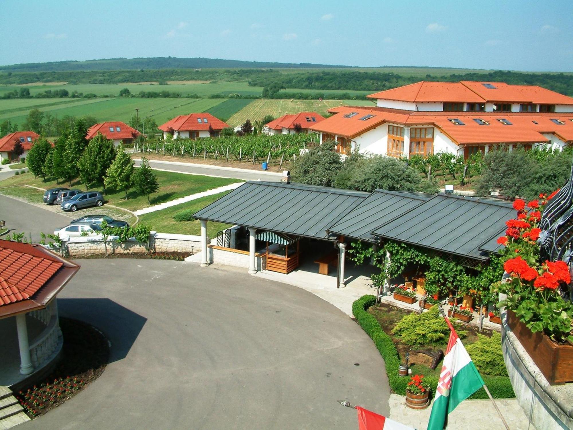 Egri Korona Borhaz Es Wellness Hotel Demjén Buitenkant foto